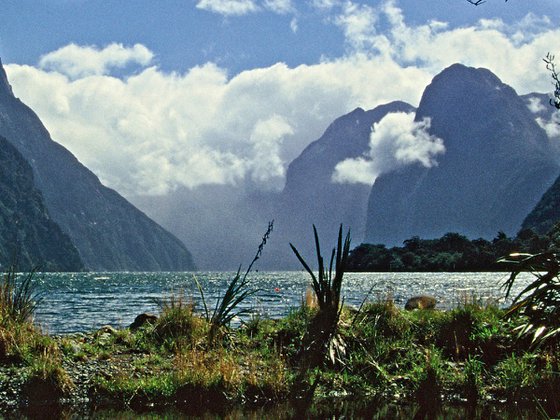 Fiordland