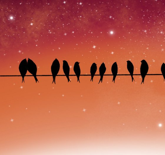 Birds on a Wire love birds