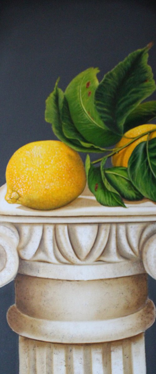 lemons by olga formisano
