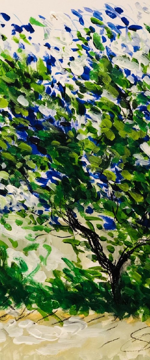 Colours Of Spring by Shabs  Beigh
