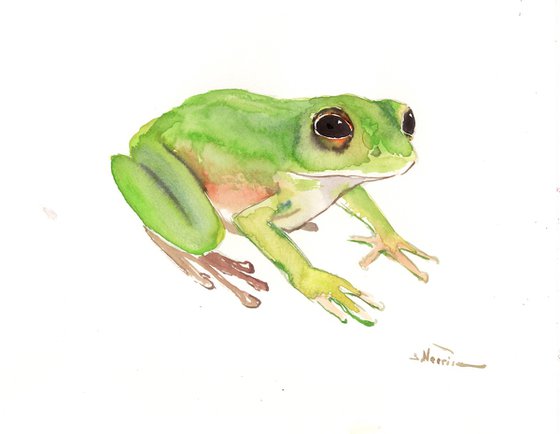 frog watercolor illsutration