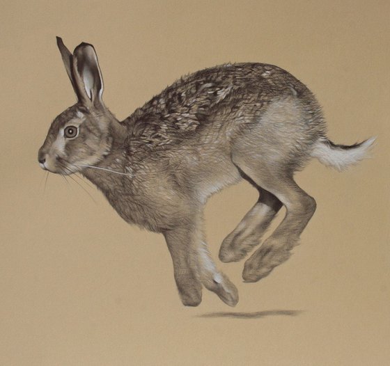 Skippy