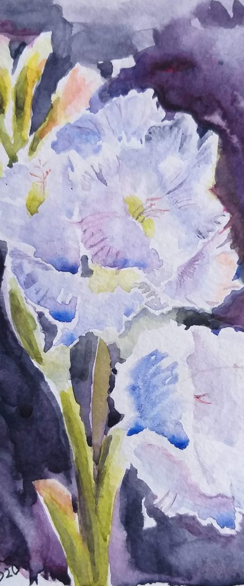 Flowers watercolor by Geeta Yerra