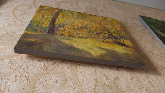 Sunlight autumn landscape painting