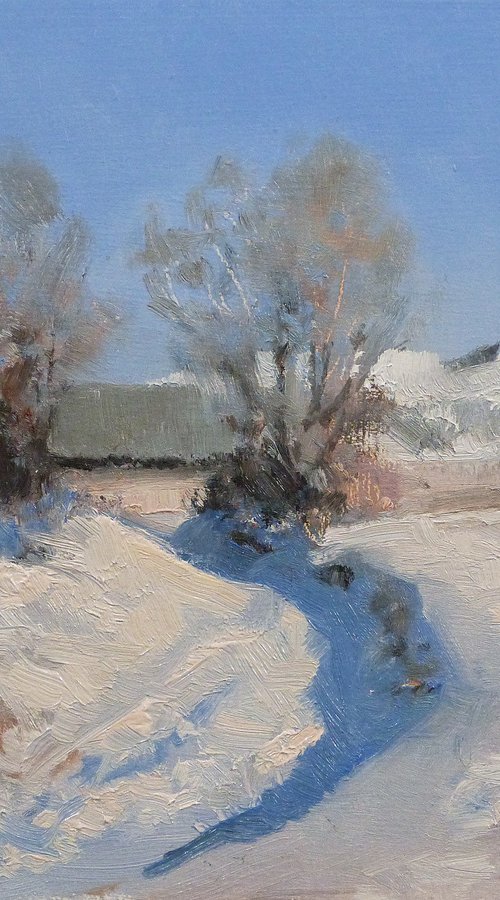 Snowy Path near Seyne by Pascal Giroud