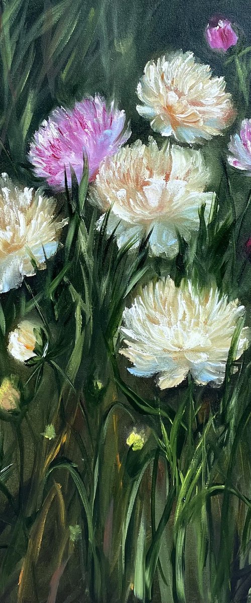 Peonies - arome of summer by Tanja Frost