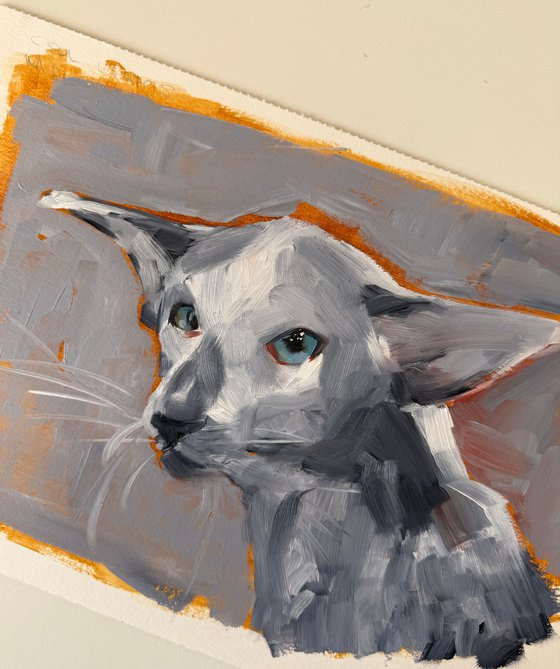 The Gaze