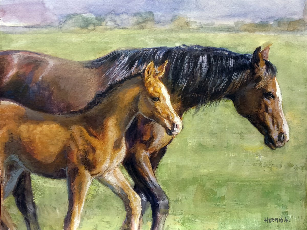 Mare and foal by Gabriel Hermida