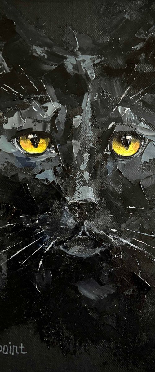 "Black cat on black" by OXYPOINT