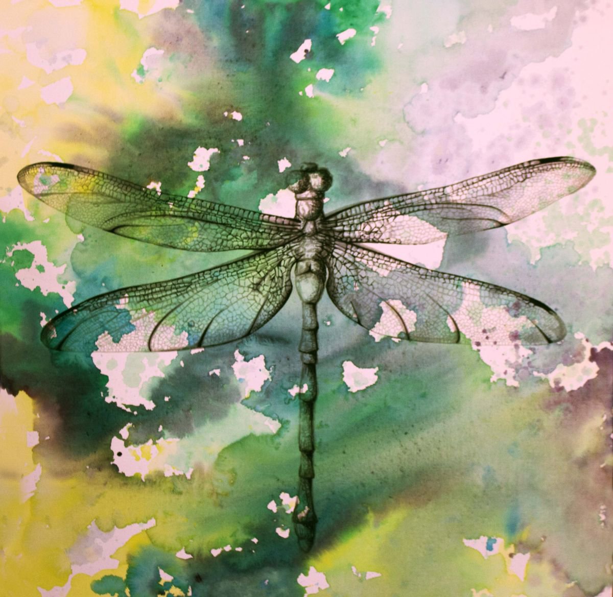 Hawker Dragonfly by Victoria Stothard