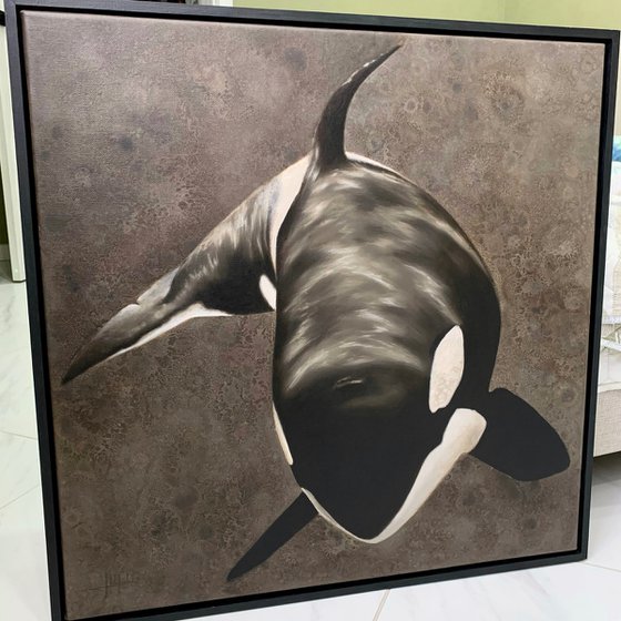 Orca