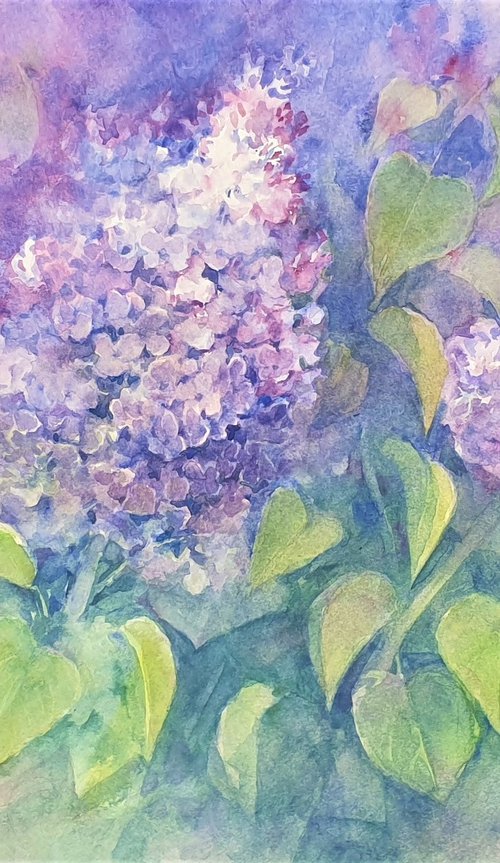 watercolour LILAC LILAC II flower painting 40x30/ 2020.021 by Beata van Wijngaarden