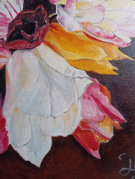 Tulips 19