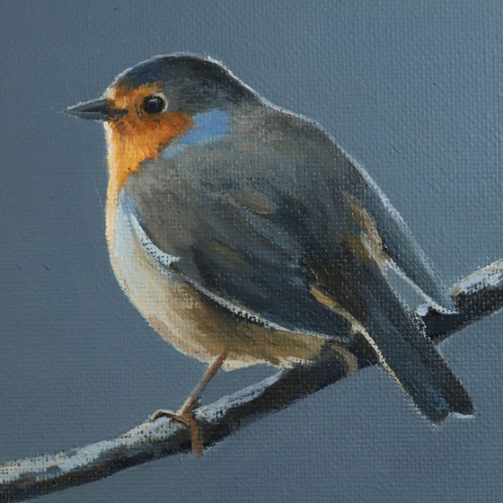 Robin at Night Time Painting Framed and Ready to Hang