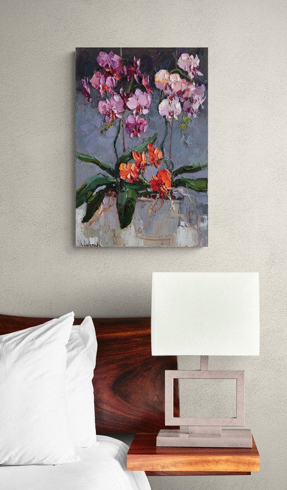 Orchids in Bloom