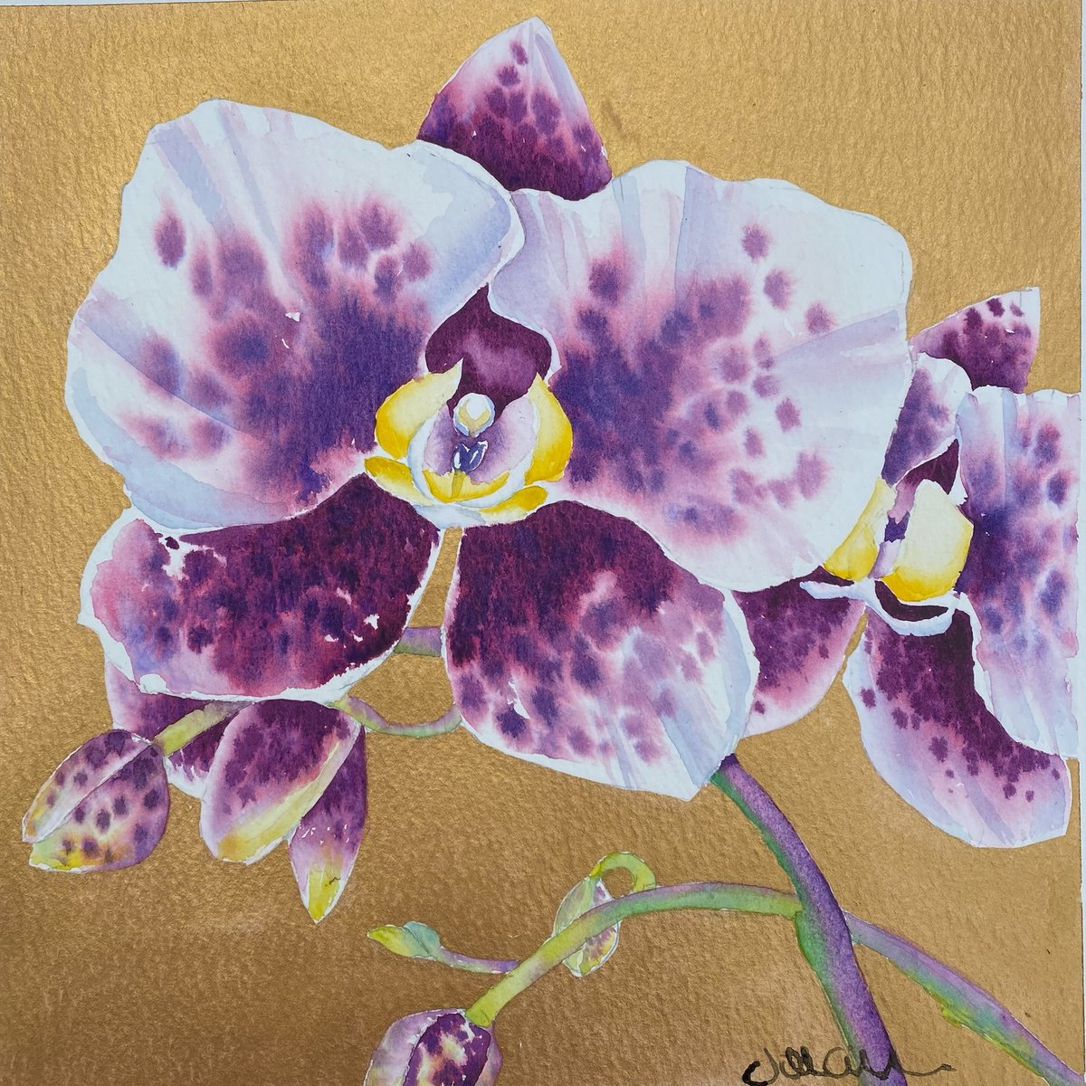 Into Paradise I- Splendid Orchid by Jill Griffin