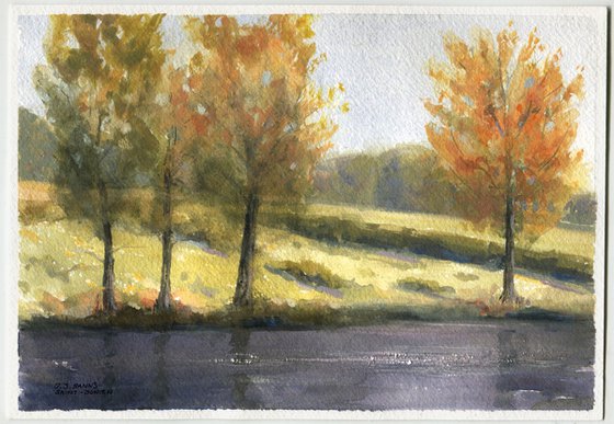 Autumn trees by the river. The fall.