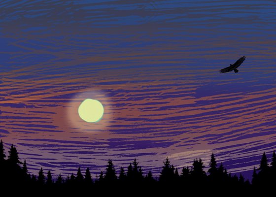 Soaring bird eagle
