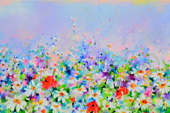 White Daisy and Red Poppy Field