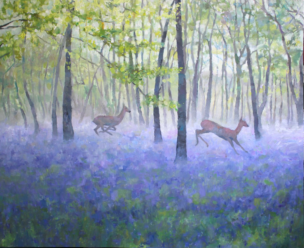 Misty Bluebell Morning by Christian Twelftree