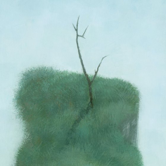 Solitary Tree At Iguazu