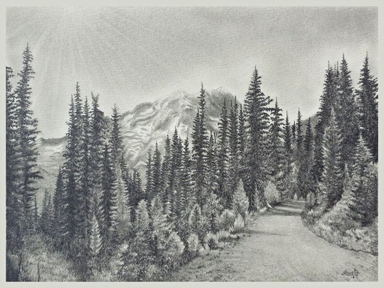 Road to Mount Rainier