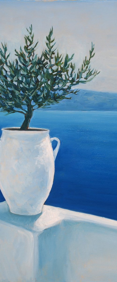 Olive tree in a white pot by Alfia Koral
