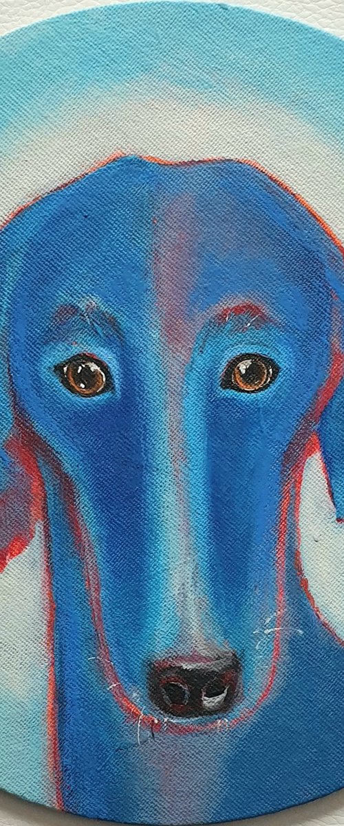 Blue galgo / Hope by Ksenia June