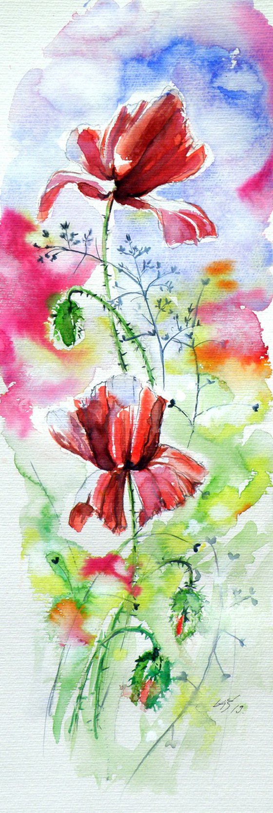 Poppies of summer IV
