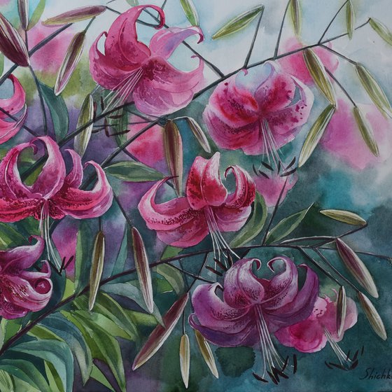 Pink Lilies