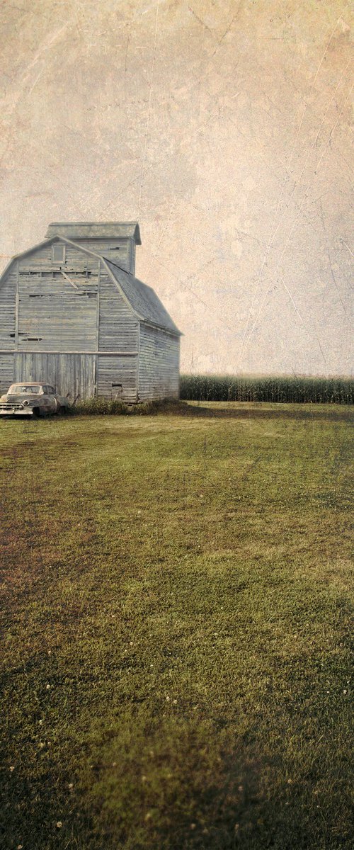 Best of All, It's a Cadillac by Robert Tolchin