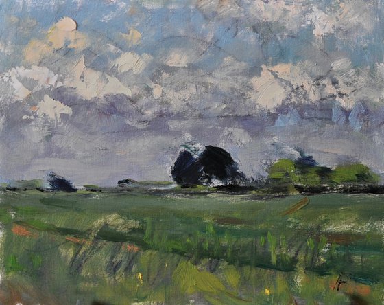 Field near Yapton