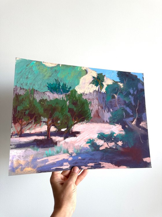 Orange Tree