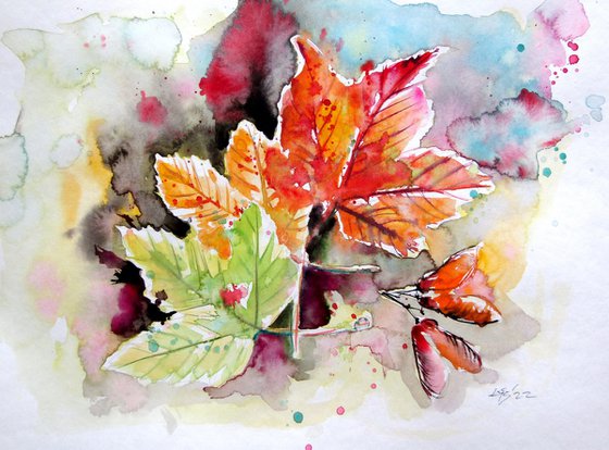 Fall collection