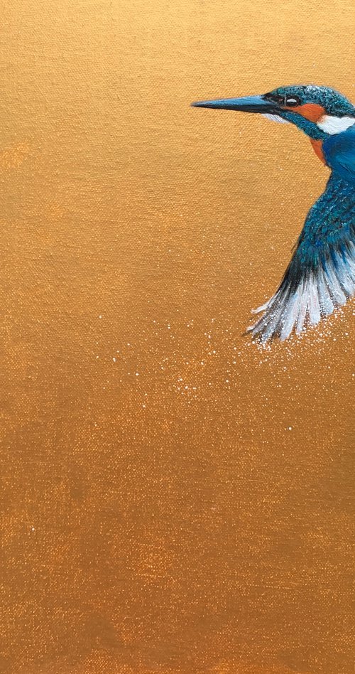 Flight Of The Kingfisher III by Laure Bury