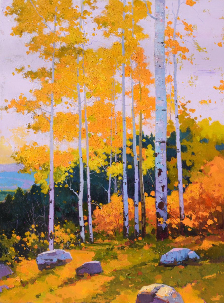 Birch trees forrest 081 by jianzhe chon
