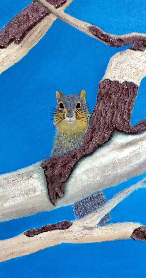 OAK BRANCH WITH FOX SQUIRREL by Leslie Dannenberg