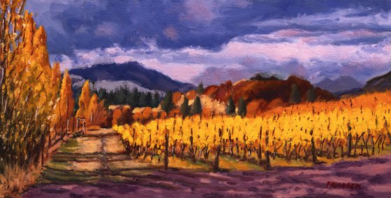 Mountain Vineyard