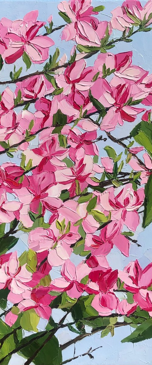 Pink blossom by Ulyana Korol