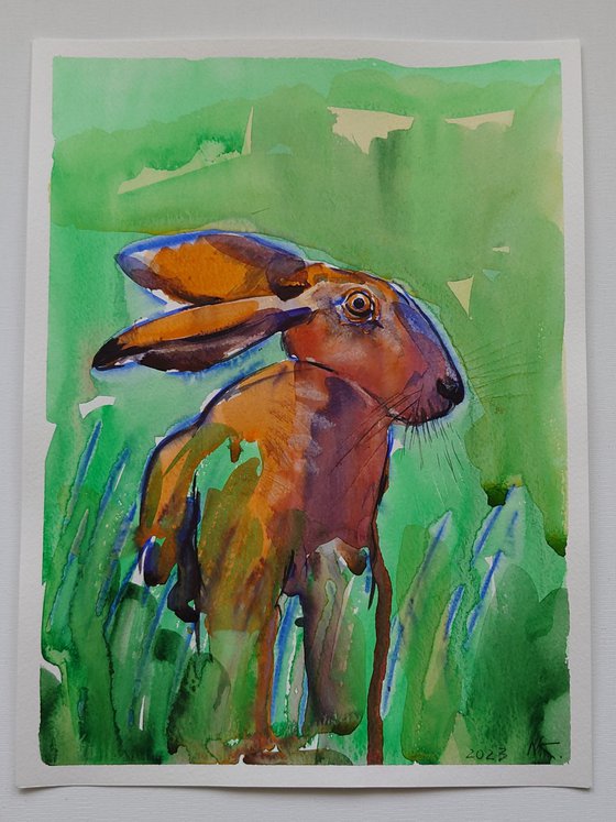 Alert in the Meadow