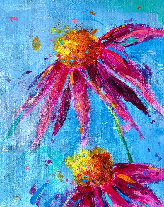Echinacea