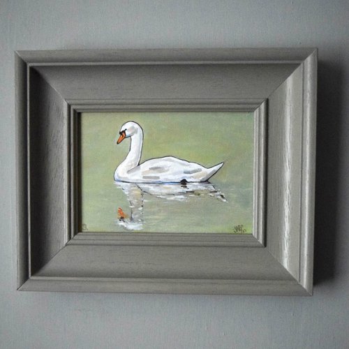 Swan Study #3 by Jem Gooding