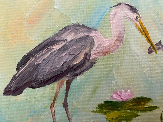 Fishing heron