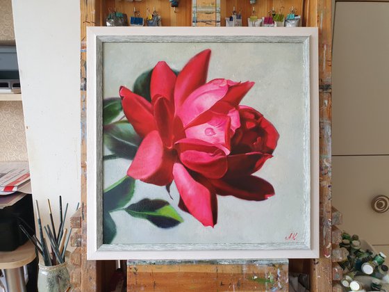 "Passionate. "  rose flower  liGHt original painting  GIFT (2021)