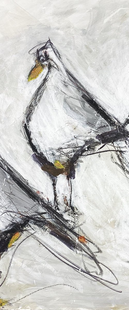 The Gulls by Irene Wilkes