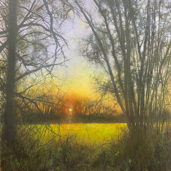'Golden Light'