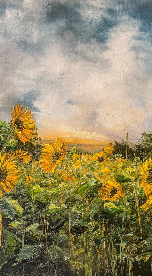 A Sunny Meadow by Kimberley  Harris