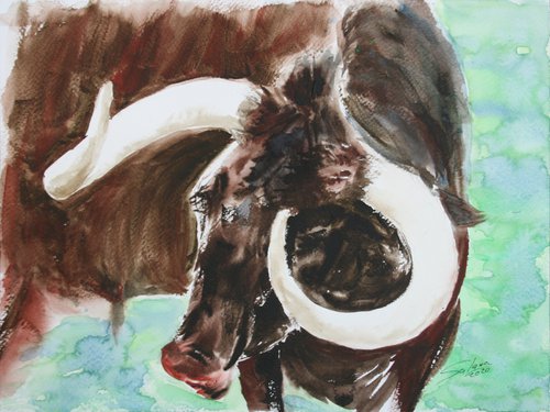 Bull I - Animal portrait /  ORIGINAL PAINTING by Salana Art Gallery