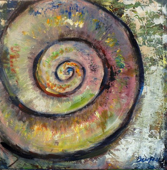 Ammonite Shell - 20x20