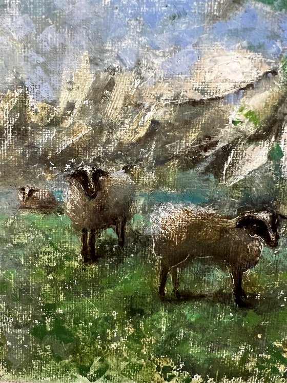 Sheep Snowdrops Pastoral Landscape